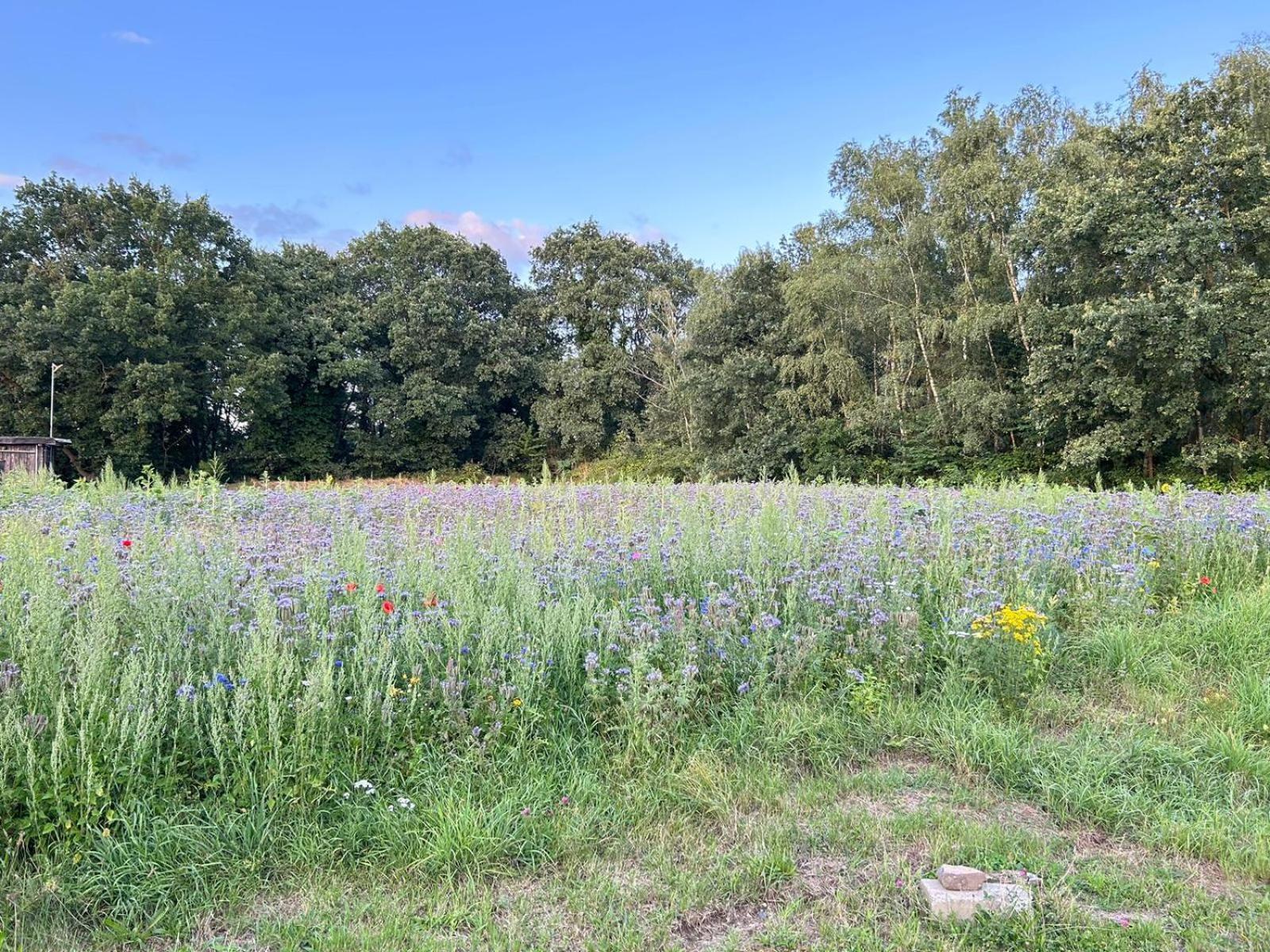 Xantener Ferienhaus Heeser Weg Exterior foto